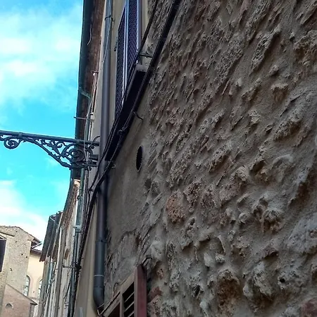 Il Mandorlo Nel Centro Di *